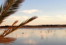 Facebook Memorialization Guide for Families Without a Legacy Contact