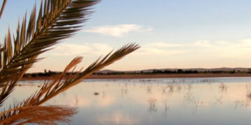 What Happens to a Facebook Profile After Death?