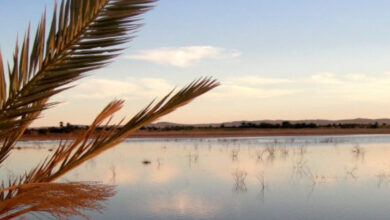 Facebook Memorialization Guide for Families Without a Legacy Contact