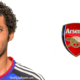 Mohamed El-Nenny moves to Arsenal in £7.4m deal, El Nenny to Arsenal, ElNeny, Arsenal Egyptian player, Mohamed El-Nenny, Mohamed ElNenny, digital boom, arsenal, EPL