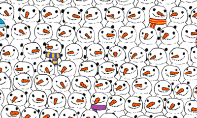 can you find the panda