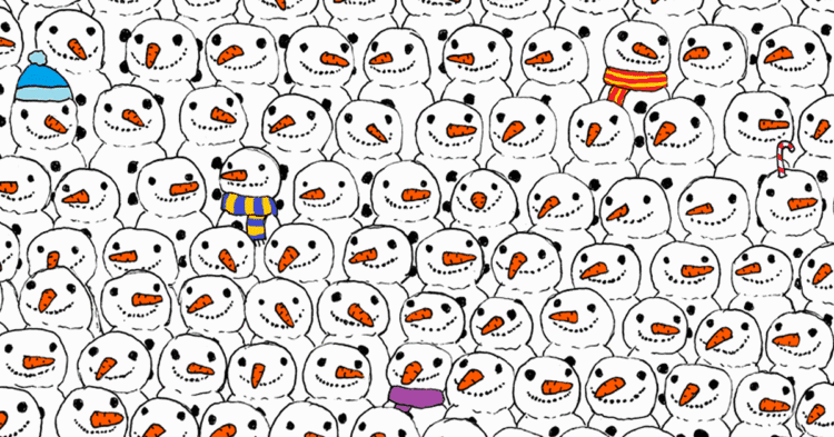 can you find the panda