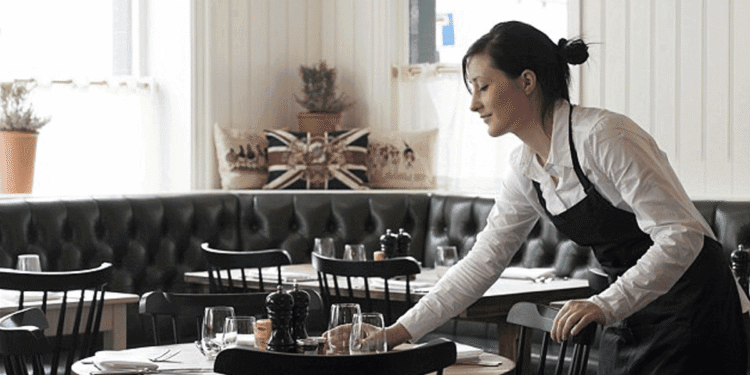 Services Companies, a Story and Opportunity
