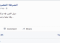 dollar crisis, egypt, cairo, memes, float, devastation, 2016, egyptian pound