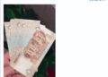 dollar crisis, egypt, cairo, memes, float, devastation, 2016, egyptian pound