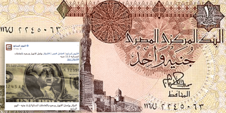 dollar against pound in Egypt, dollar crisis, egypt, cairo, memes, float, devastation, 2016, egyptian pound