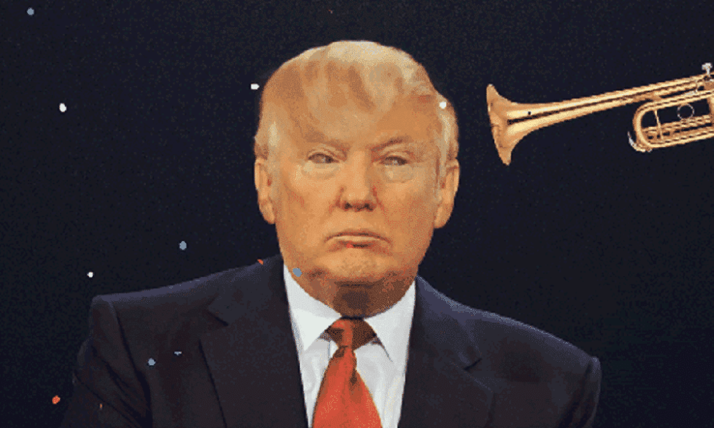 trump donald.org, digital boom, adigitalboom, donald trump