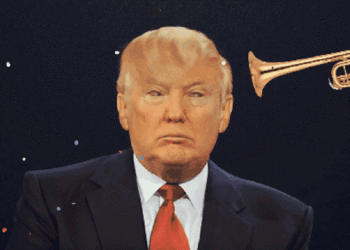 trump donald.org, digital boom, adigitalboom, donald trump