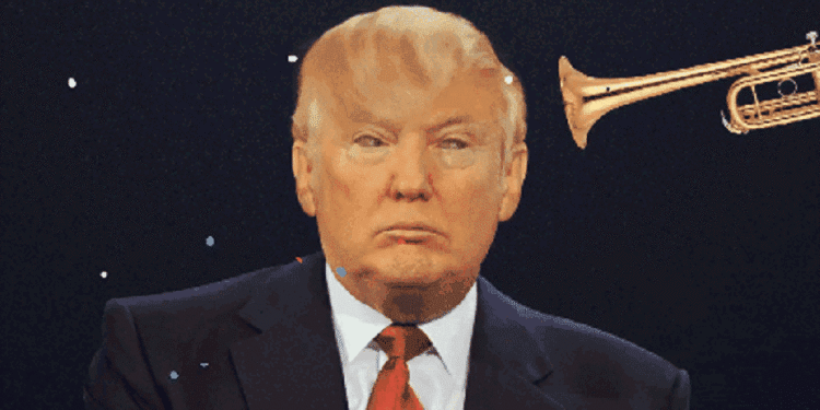 trump donald.org, digital boom, adigitalboom, donald trump