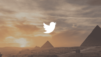 Twitter users data in Egypt