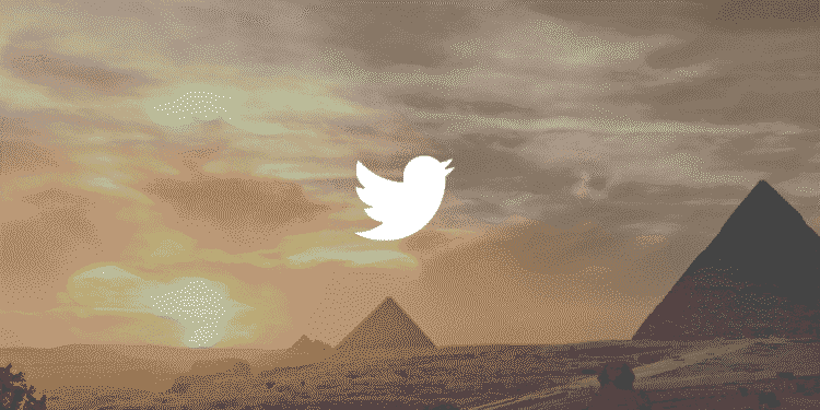 Twitter users data in Egypt