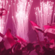 Vodafone, Pepsi Celebrate Egypt's Qualification to the 2018 World Cup, amr diab song for Egypt