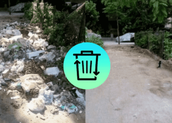 Dawar App strives to solve Egypt's garbage mess with a snap of a button