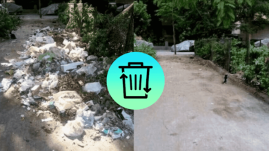 Dawar App strives to solve Egypt's garbage mess with a snap of a button