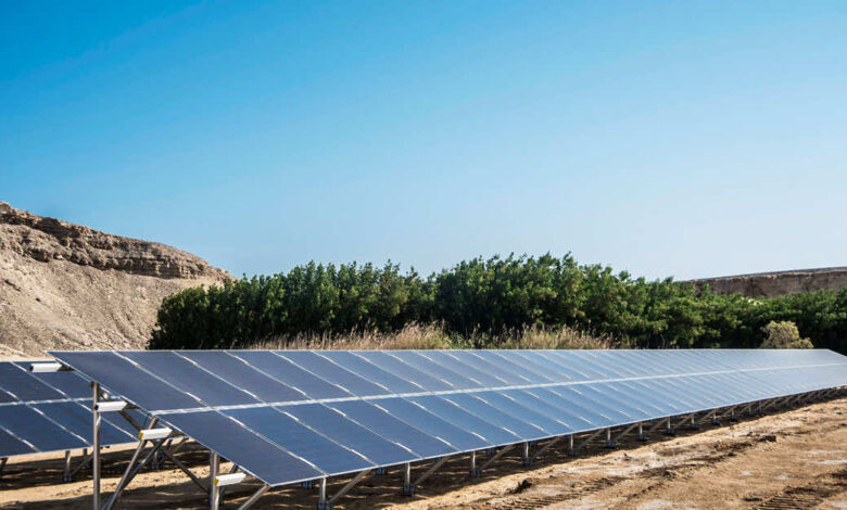 KarmSolar, Cairo3A Poultry sign US$90 million agreement