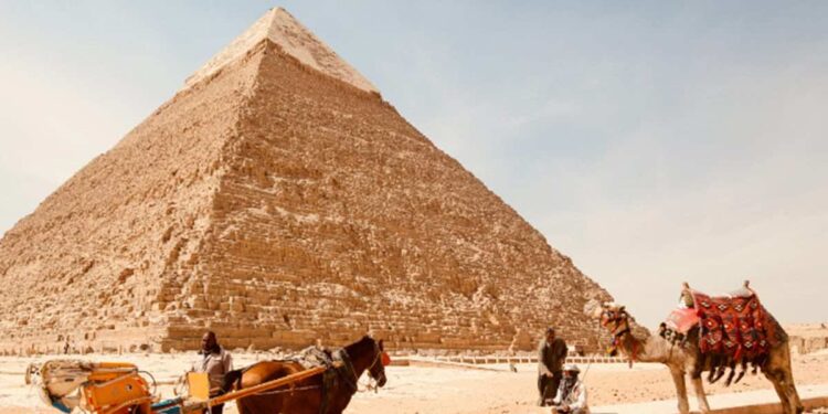 RiseUp selects 15 regional startup finalists for 'Pitch by the Pyramids'