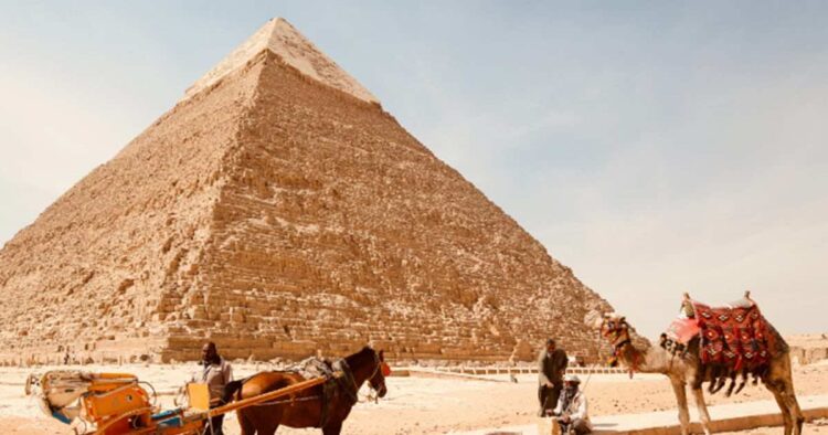 RiseUp selects 15 regional startup finalists for 'Pitch by the Pyramids'
