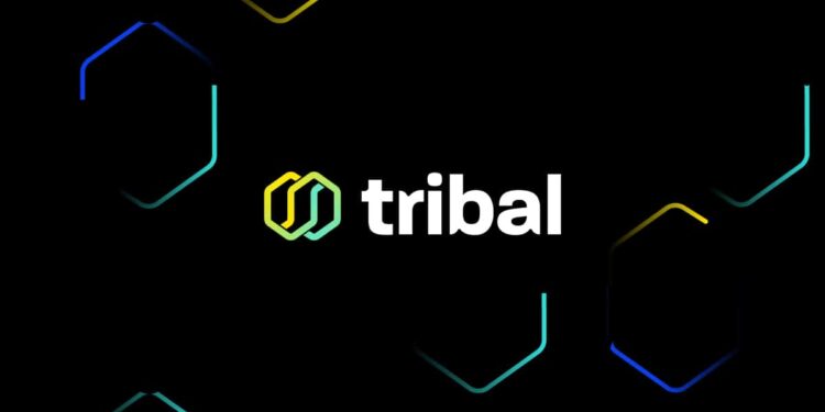 tribal credit logo, Amr Shady tribal credit, Silicon Valley’s Tribal Credit Raises $5.5M in Seed Funding to Bank Startups