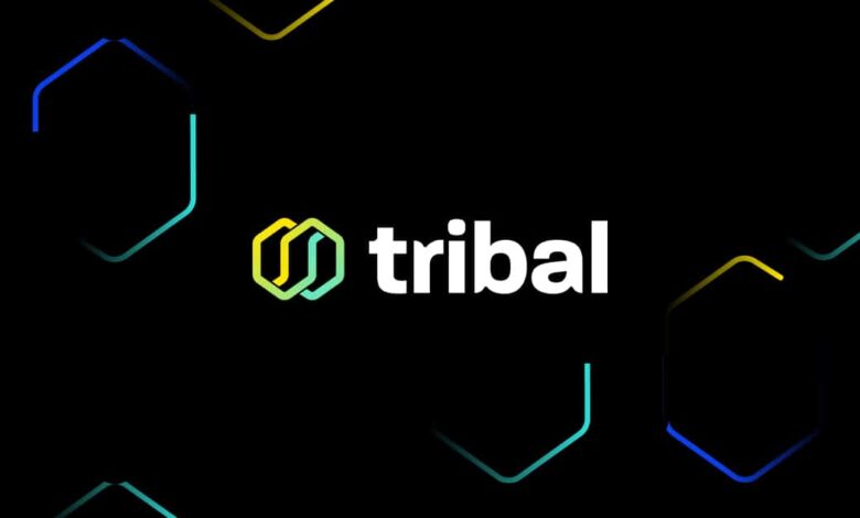 tribal credit logo, Amr Shady tribal credit, Silicon Valley’s Tribal Credit Raises $5.5M in Seed Funding to Bank Startups