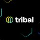 tribal credit logo, Amr Shady tribal credit, Silicon Valley’s Tribal Credit Raises $5.5M in Seed Funding to Bank Startups