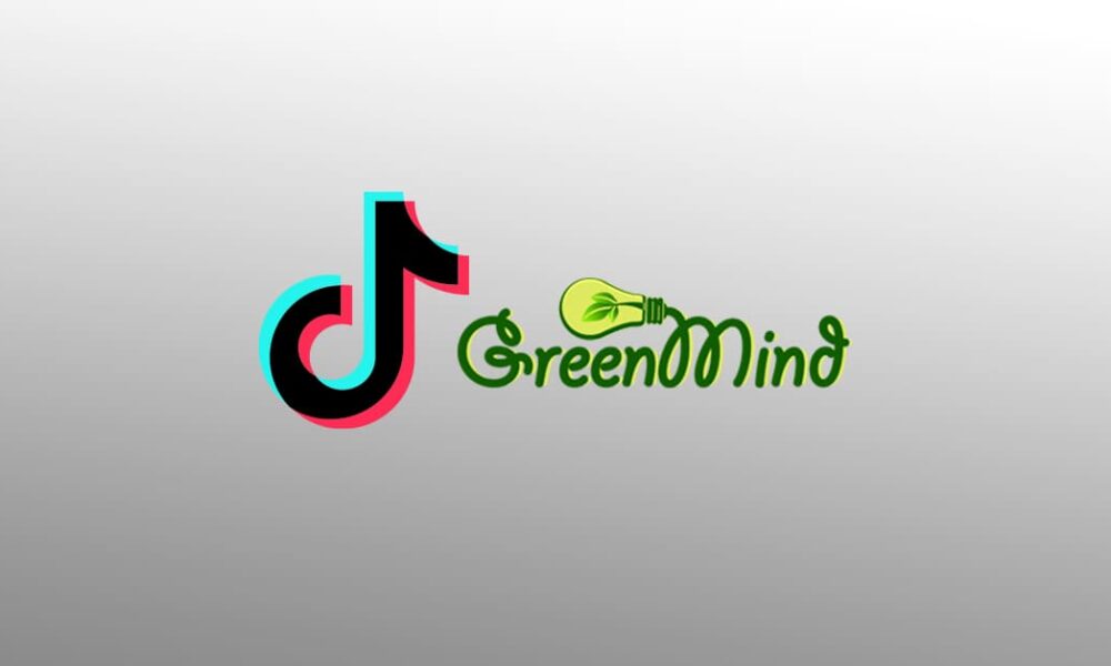 TikTok Assigns Egyptian Agency 'Green Mind' To Manage Its MENA's YouTube Channel