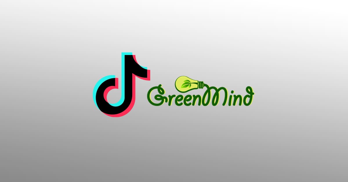 TikTok Assigns Egyptian Agency 'Green Mind' To Manage Its MENA's YouTube Channel