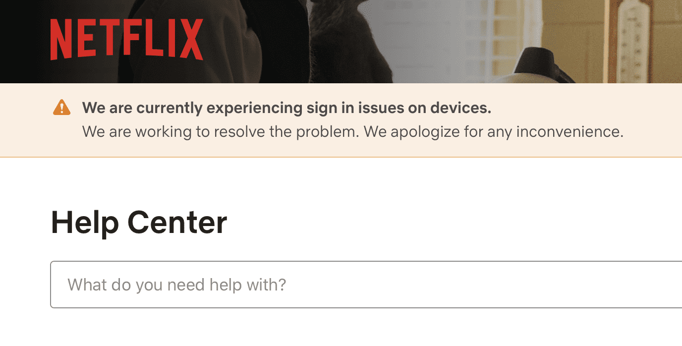 Screenshot from Netflix Help Center