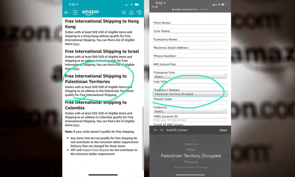 Amazon now delivers to Palestine following boycott campaign
