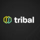 Tribal Credit Takes Juniper Research’s Best B2B Payment Platform Gold Award