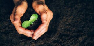 How to Write CSR Manager Job Description?