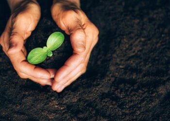 How to Write CSR Manager Job Description?