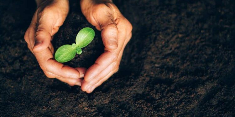 How to Write CSR Manager Job Description?