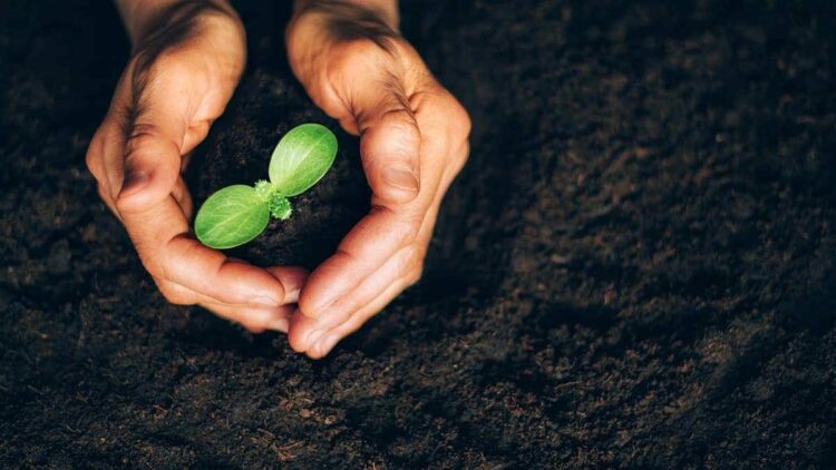 How to Write CSR Manager Job Description?