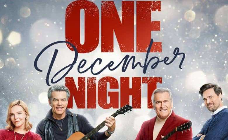 one december night movie poster