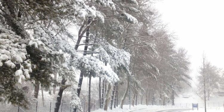 Snowstorm hits Jordan for 72 hours