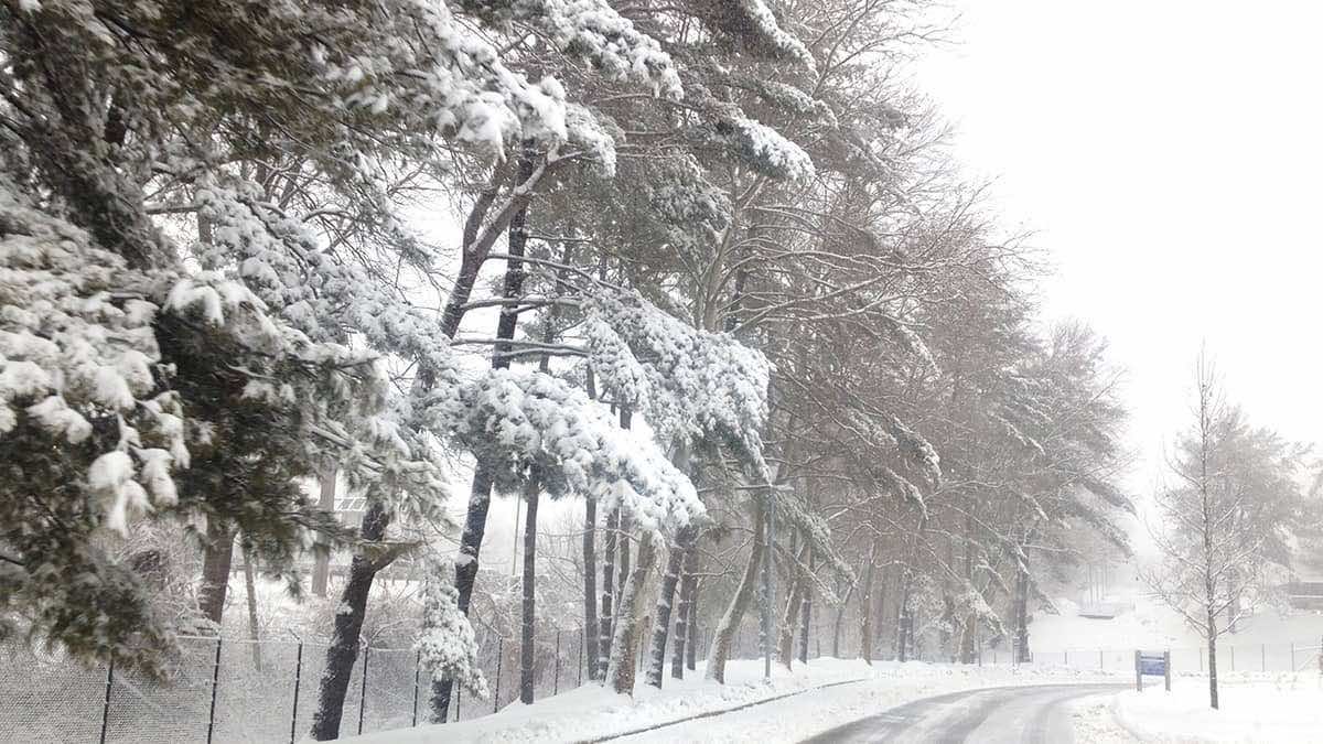 Snowstorm hits Jordan for 72 hours