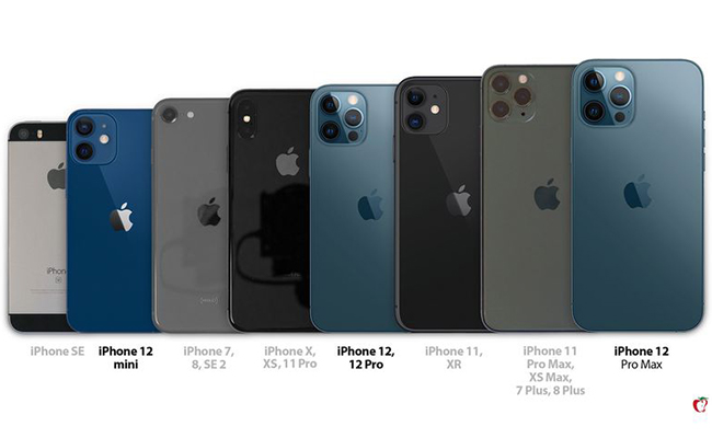 iPhone 12 Lineup Sizes, Should You Buy iPhone 12 in 2022?