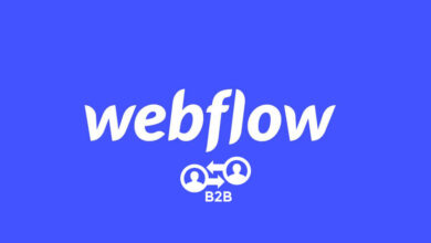 Reject non-business emails from Webflow form submission