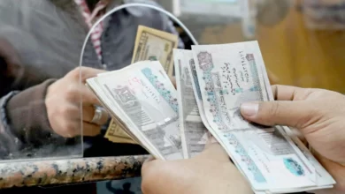 Egypt's Pound in Freefall After Move to Fluctuating Exchange Rates