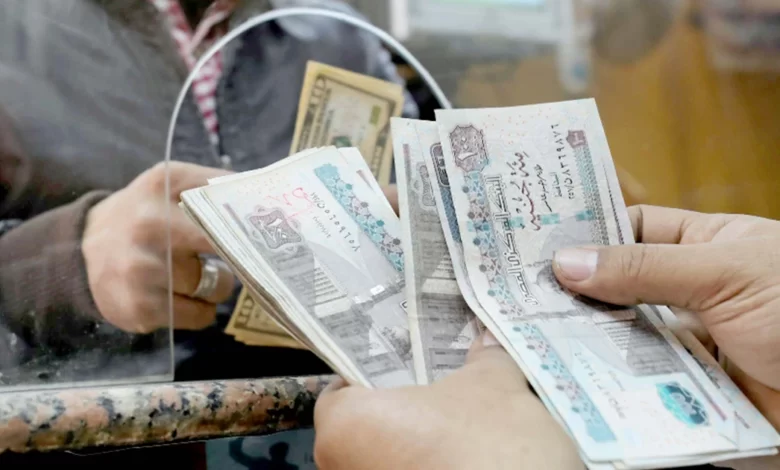 Egypt's Pound in Freefall After Move to Fluctuating Exchange Rates