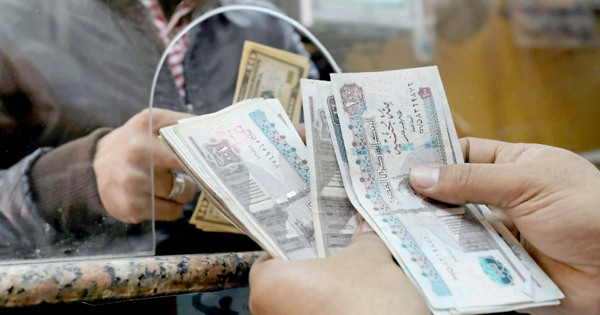 Egypt's Pound in Freefall After Move to Fluctuating Exchange Rates