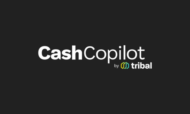 Tribal Credit Launches A GPT-Powered Open Banking Solution for Emerging Market SMEs