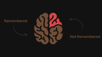 The Zeigarnik Effect: The Hidden Psychology Driving Customer Engagement in Modern Marketing