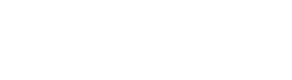 Digital Boom